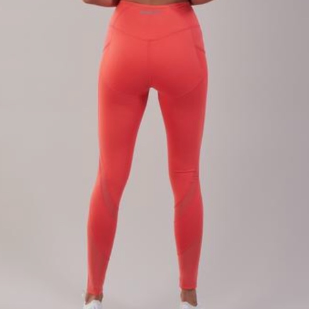 Gym shark work out pants